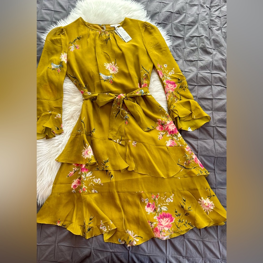 JOIE dress